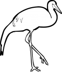 Wattled Crane freehand drawings